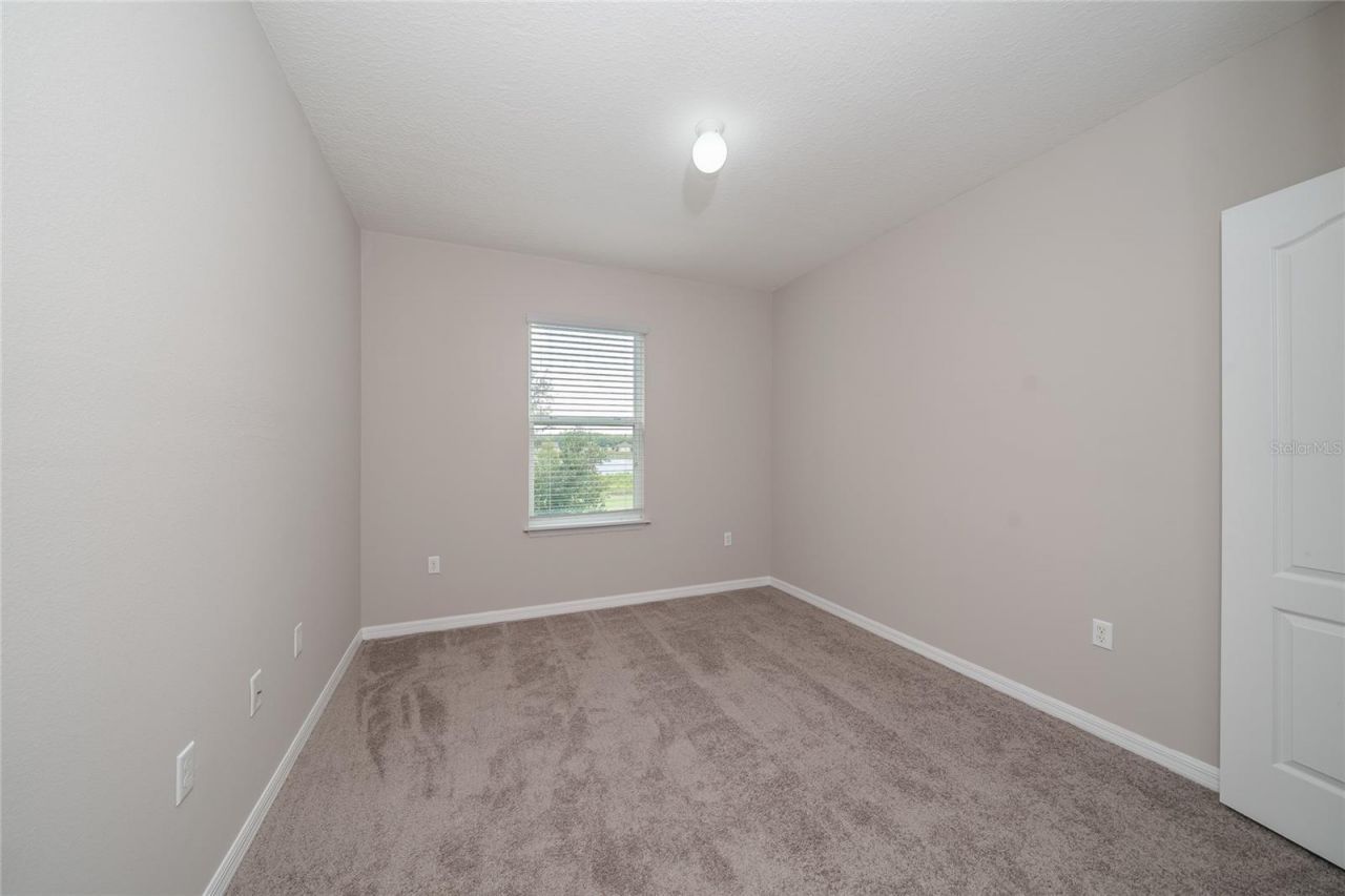 26945 Juniper Bay Drive , Wesley Chapel, FL 33544 Photo