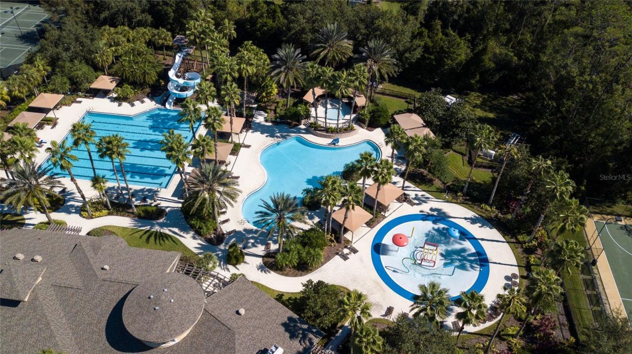 26945 Juniper Bay Drive , Wesley Chapel, FL 33544 Photo