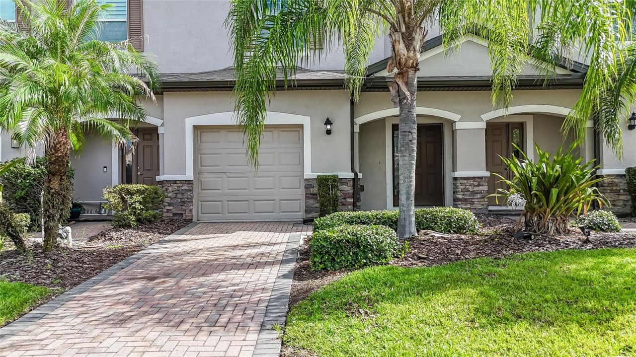26945 Juniper Bay Drive , Wesley Chapel, FL 33544 Photo