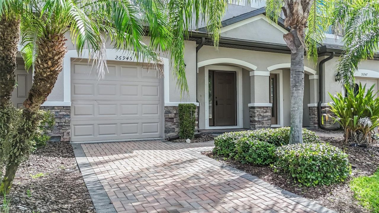 26945 Juniper Bay Drive , Wesley Chapel, FL 33544 Photo