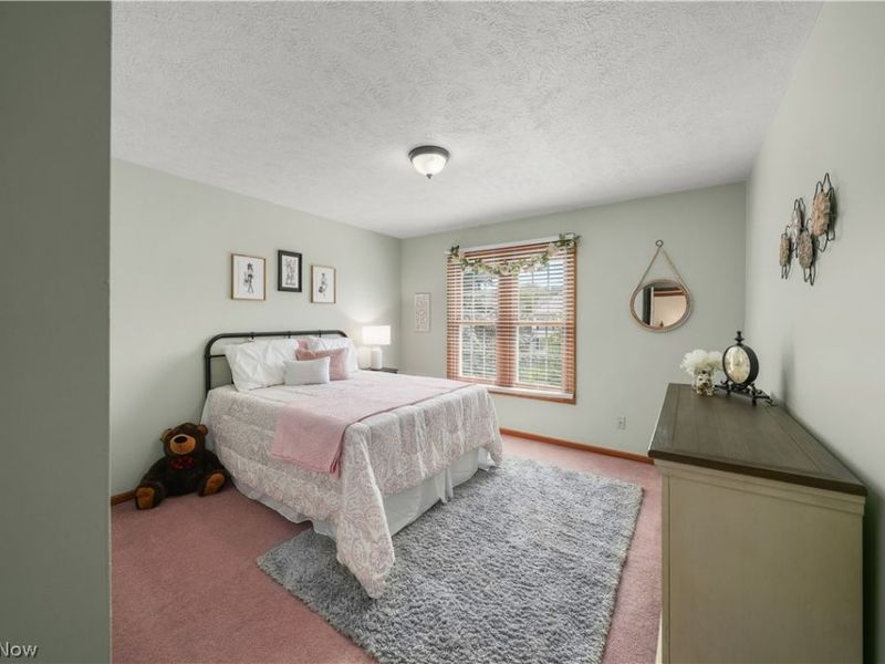 159 Kingston Drive, Aurora, OH 44202 Photo 25