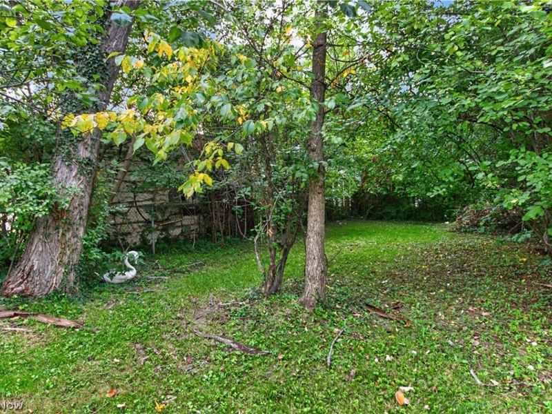 3357 E 149th Street, Cleveland, OH 44120 Photo 38