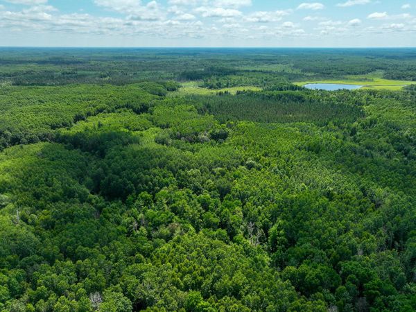 TBD Sago 5 , Swan River, MN 55784