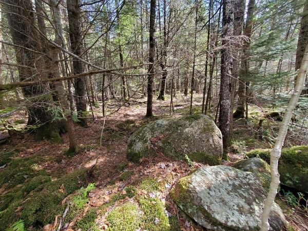 0 Howland (Rte 155) Road, Lagrange, ME 04453