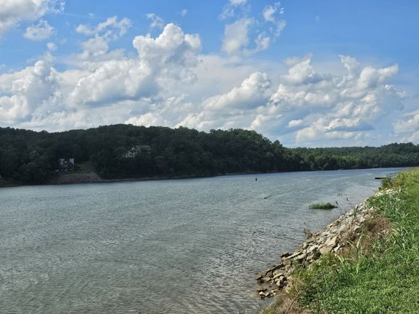 0 Hardin Bottom River Rd , Unit 95, Clifton, TN 38425