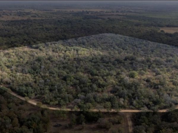 TBD Pr 2221, Nixon, TX 78140