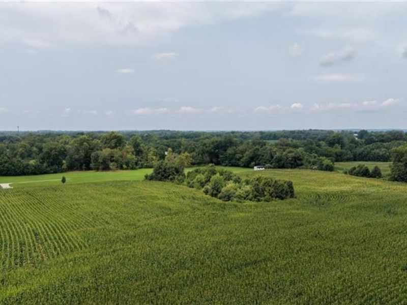 1 Willow Pine Manor, Unit Lot 1, Turtlecreek Township, OH 45036 Photo 9