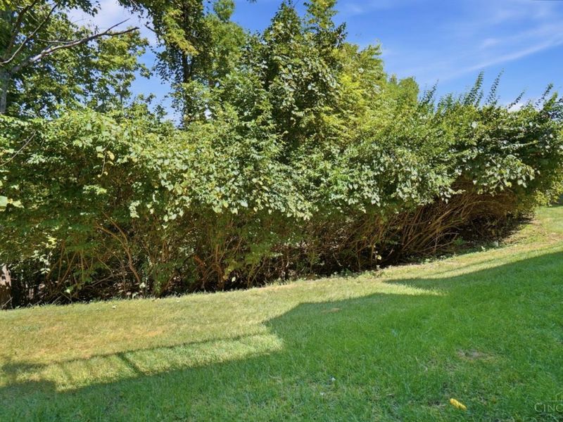 5462 Victorian, Sharonville, OH 45241 Photo 33