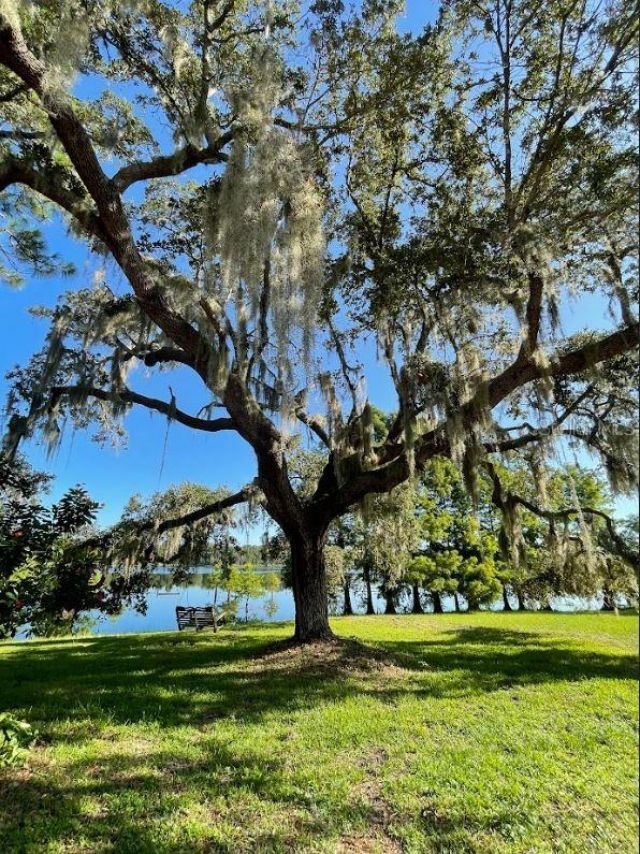 1210 Gem Lane , Lake Helen, FL 32744 Photo