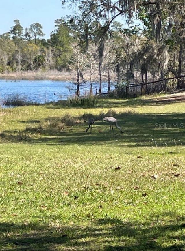 1210 Gem Lane , Lake Helen, FL 32744 Photo