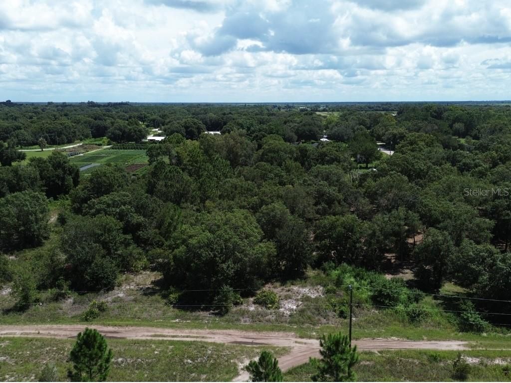 600 Serene Lane, Lorida, FL 33857 Photo