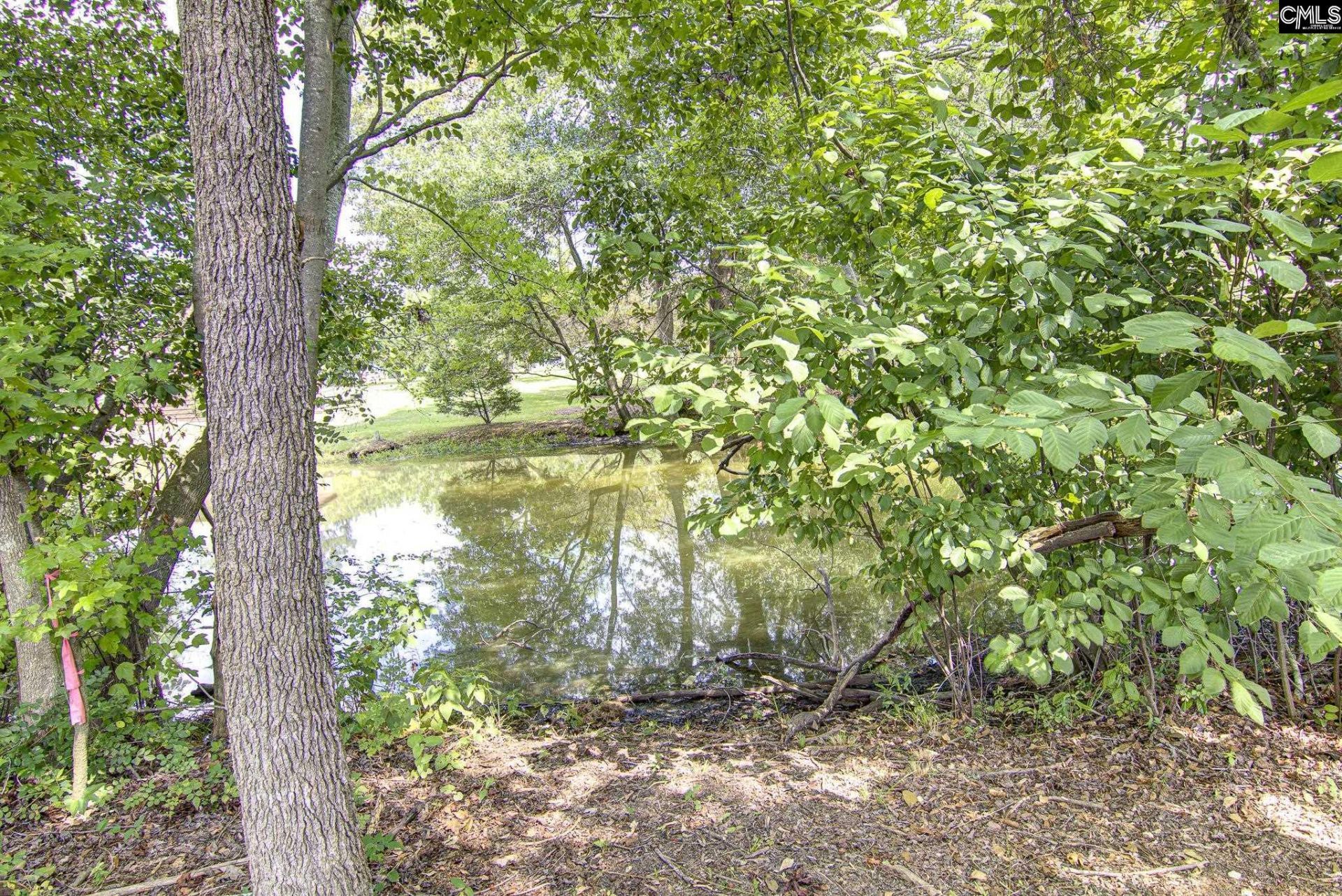 420 Wendemere Drive Photo 27