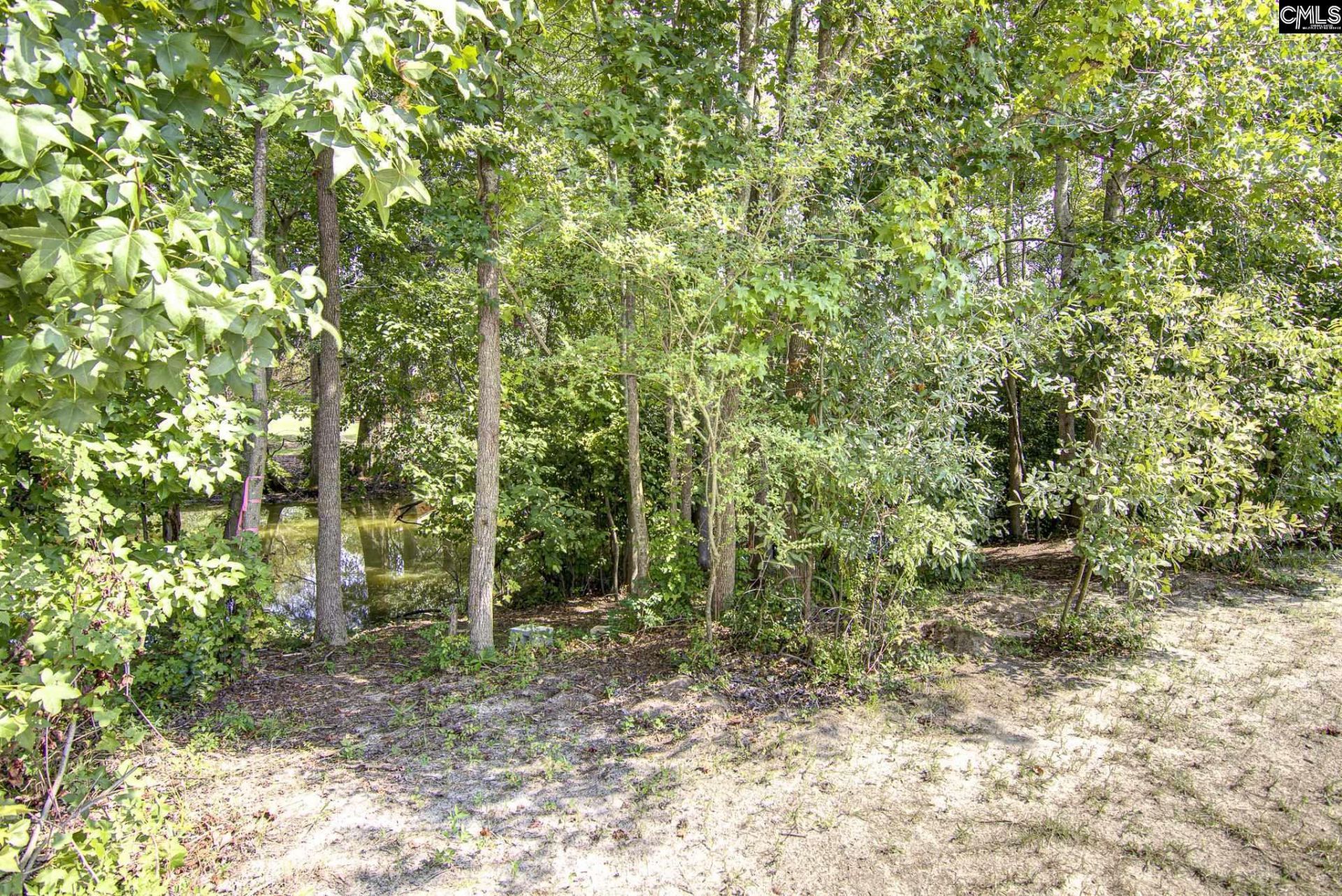 420 Wendemere Drive Photo 28