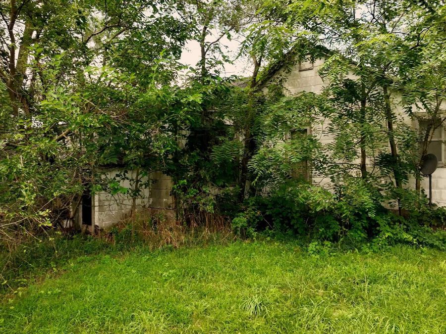 Property Image 21