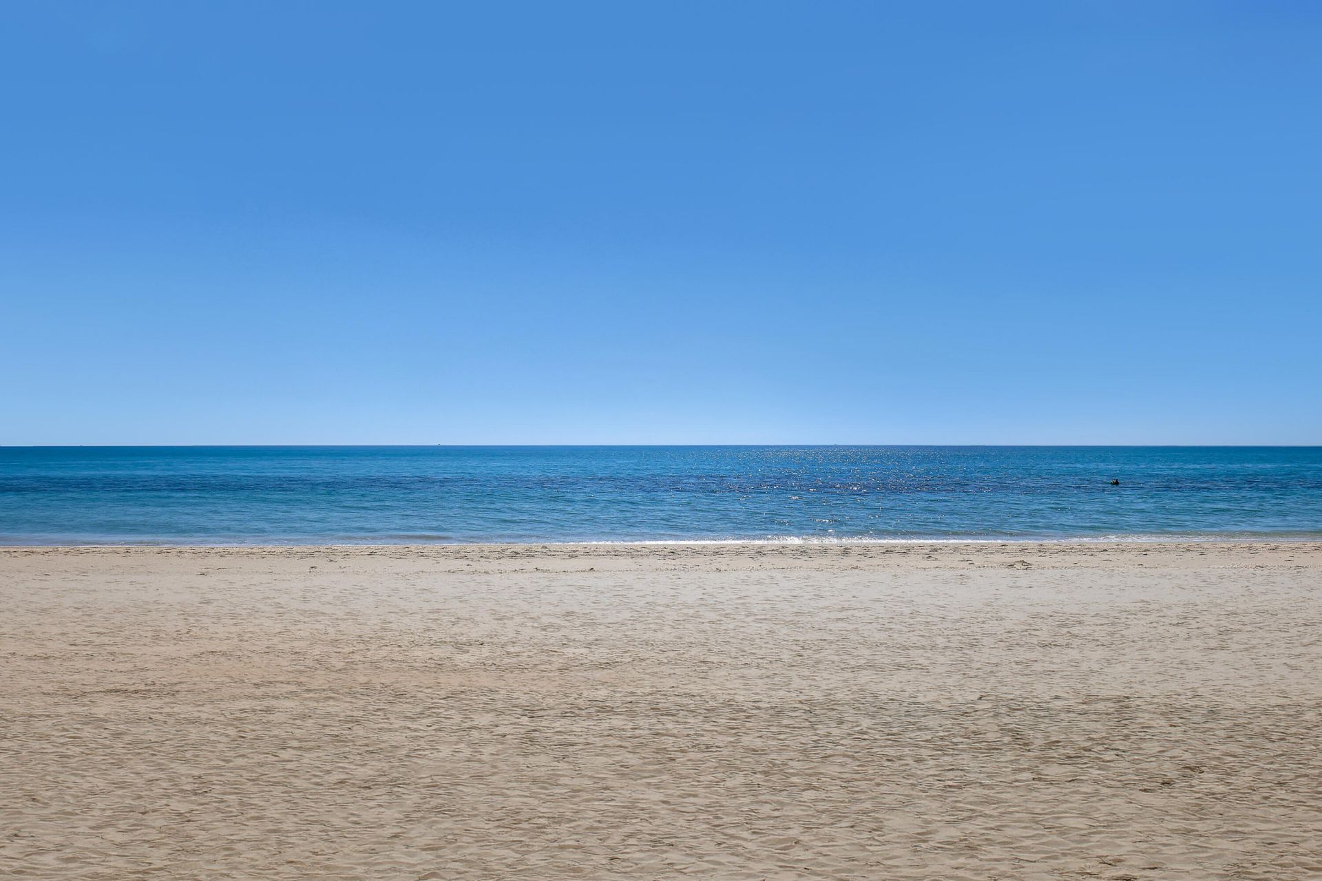5200 N Ocean Drive, Unit 1703, Singer Island, FL 33404 Photo