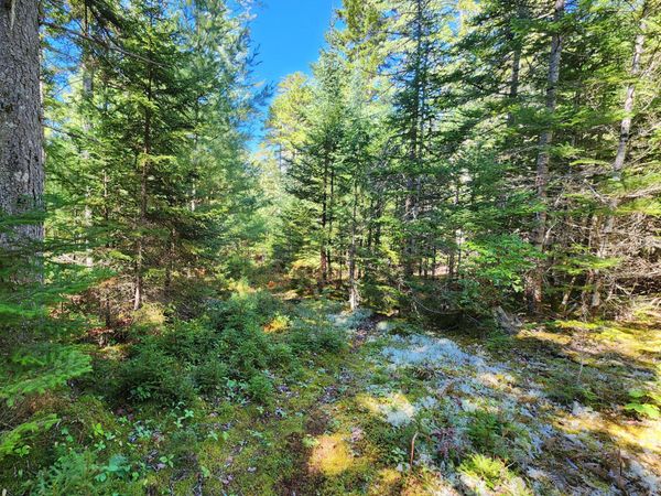 Mp35Lot7-1 Mattson Lane, Blue Hill, ME 04614