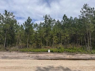 0 Walker Road, Unit Lot 1, Ridgeville, SC 29472