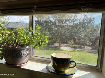 1373 Patricia Drive, Gardnerville, NV 89460 Photo