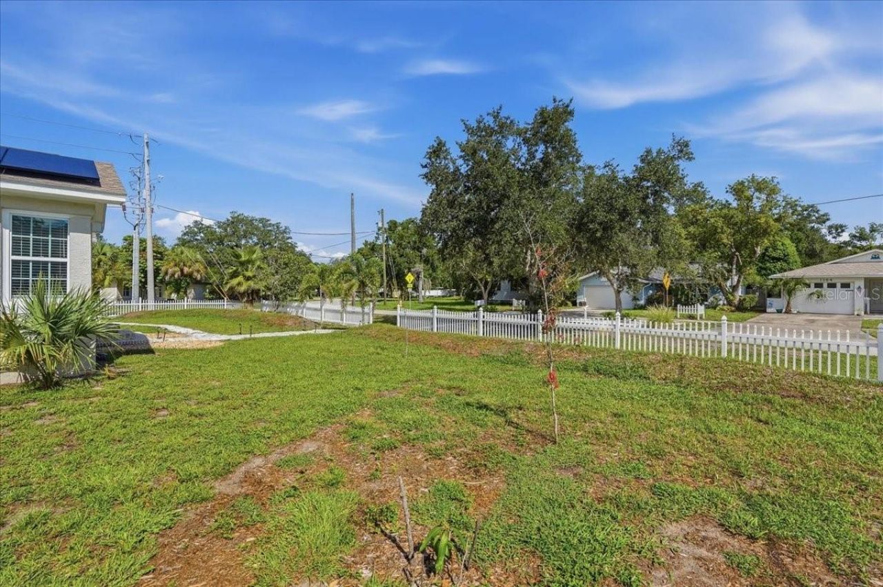 1161 Sedeeva Street, Clearwater, FL 33755 Photo