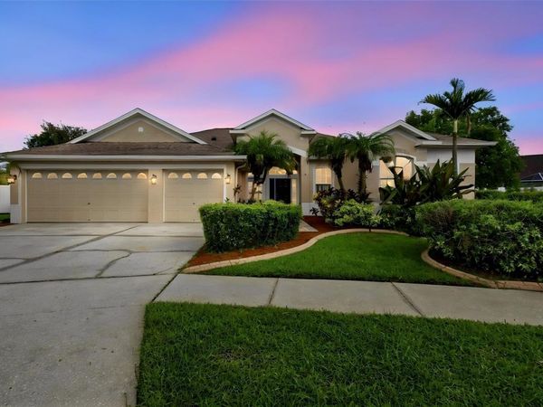9905 BRANFORD COURT , RIVERVIEW, FL 33578