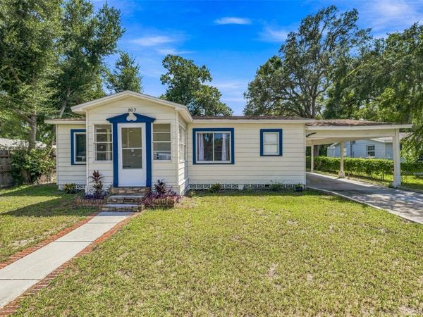 807 E ORCHID AVENUE , TAMPA, FL 33612