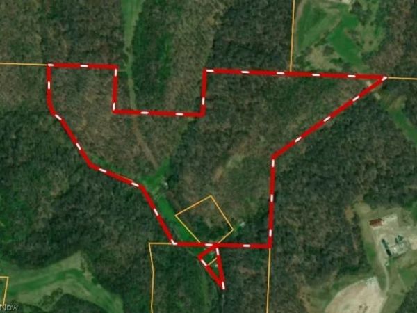 38559 Pattons Run Road, Sardis, OH 43946