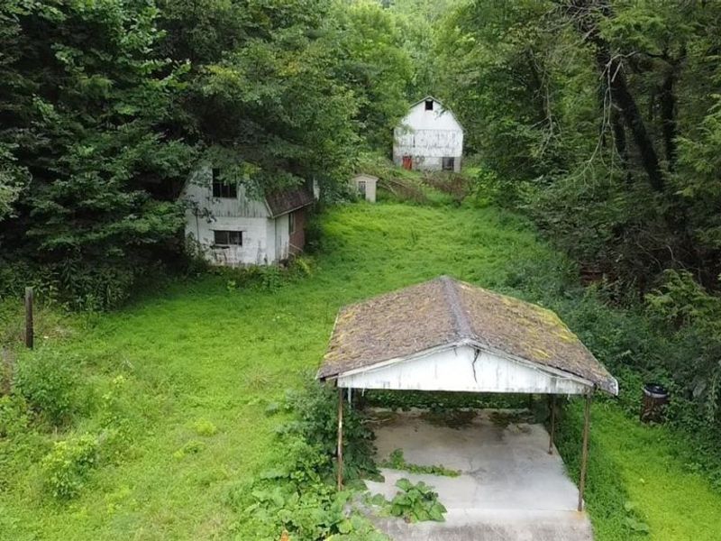 38559 Pattons Run Road, Sardis, OH 43946 Photo 3