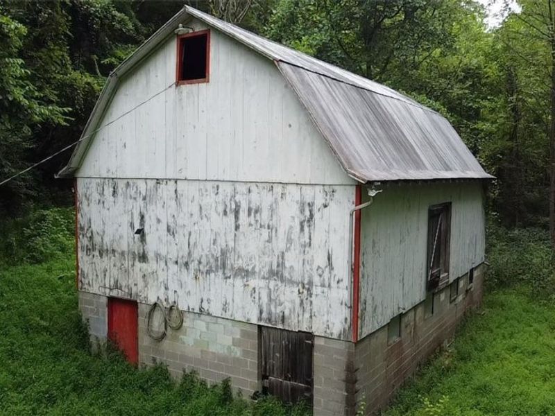 38559 Pattons Run Road, Sardis, OH 43946 Photo 4