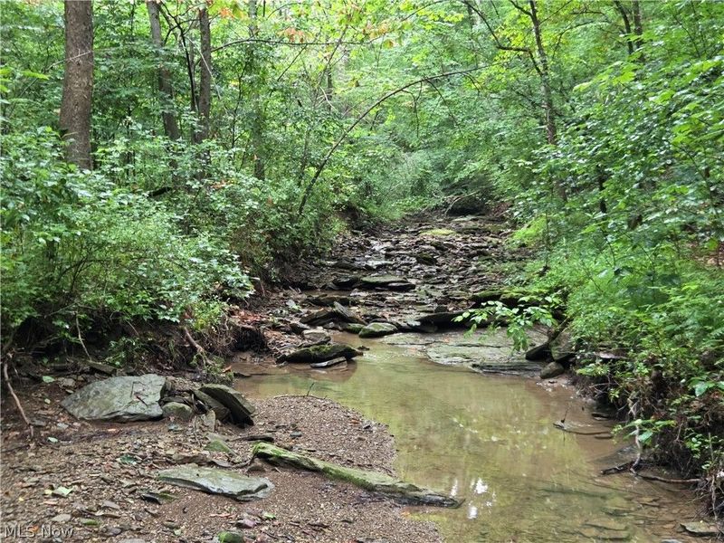 38559 Pattons Run Road, Sardis, OH 43946 Photo 6