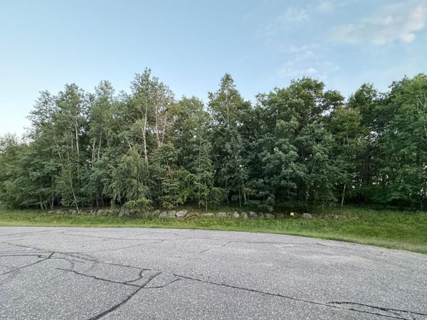 TBD 97th Street NW, Zimmerman, MN 55330
