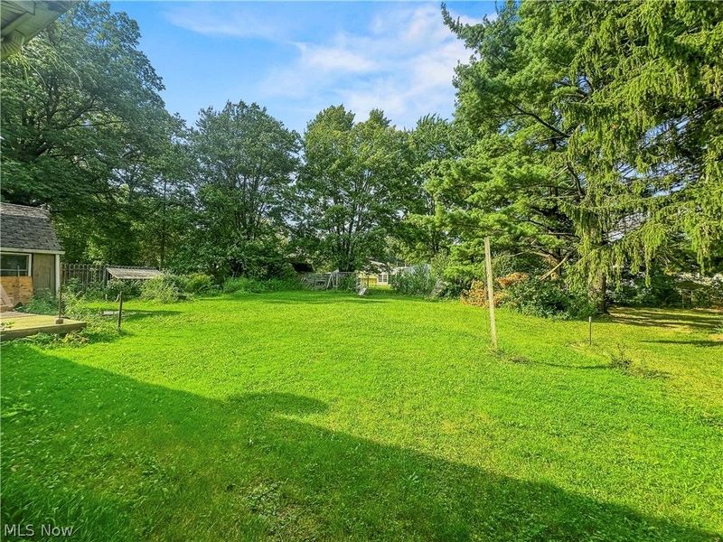 4520 New Road, Austintown, OH 44515 Photo 5