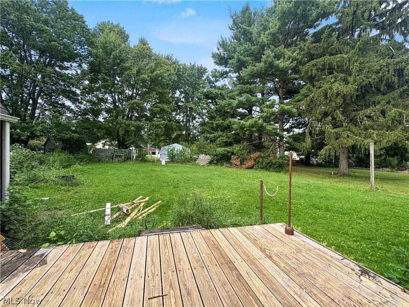 4520 New Road, Austintown, OH 44515 Photo 6