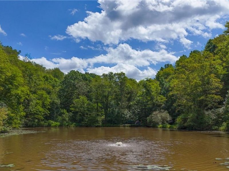34668 Township Rd 2063, Woodsfield, OH 43793 Photo 19