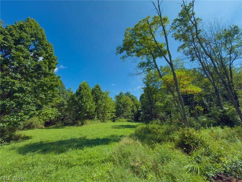 34668 Township Rd 2063, Woodsfield, OH 43793 Photo 35