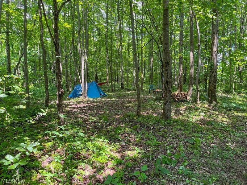 34668 Township Rd 2063, Woodsfield, OH 43793 Photo 47