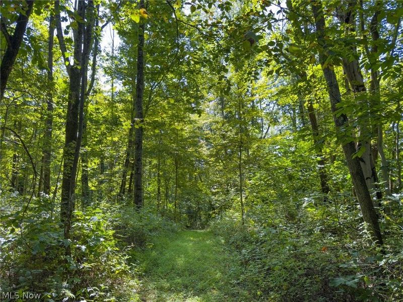 34668 Township Rd 2063, Woodsfield, OH 43793 Photo 48