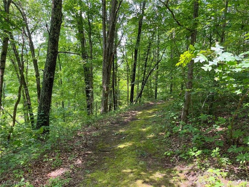 34668 Township Rd 2063, Woodsfield, OH 43793 Photo 49