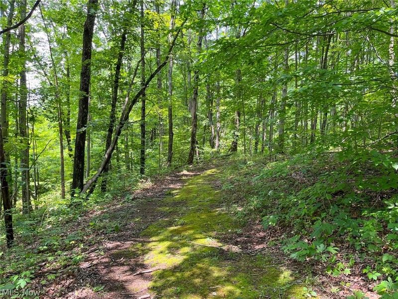 34668 Township Rd 2063, Woodsfield, OH 43793 Photo 50