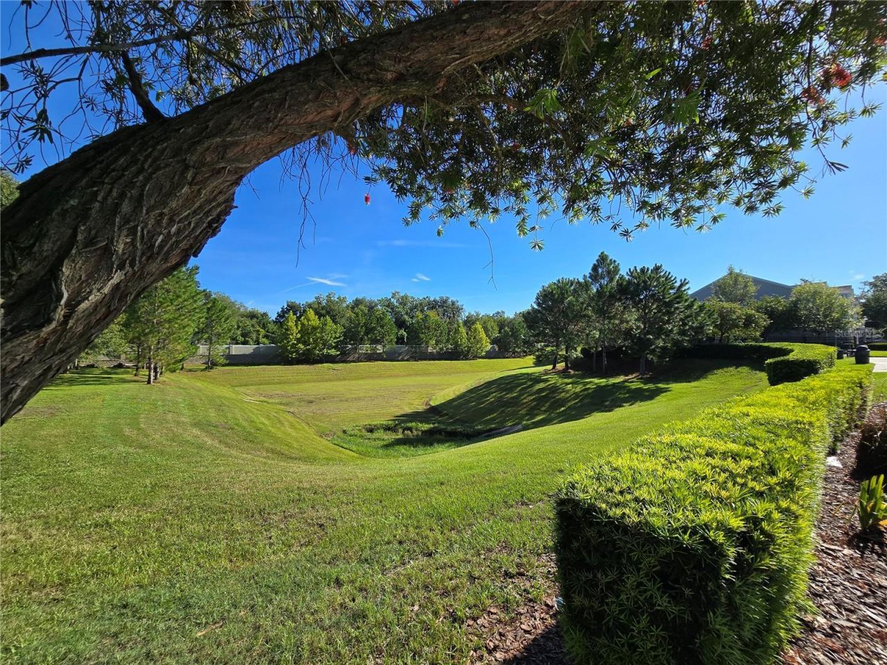 1196 E 10th Street, Apopka, FL 32703 Photo
