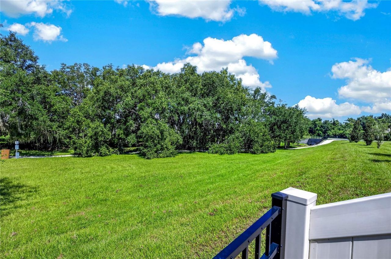 1924 Turtle Dove Lane , Kissimmee, FL 34746 Photo