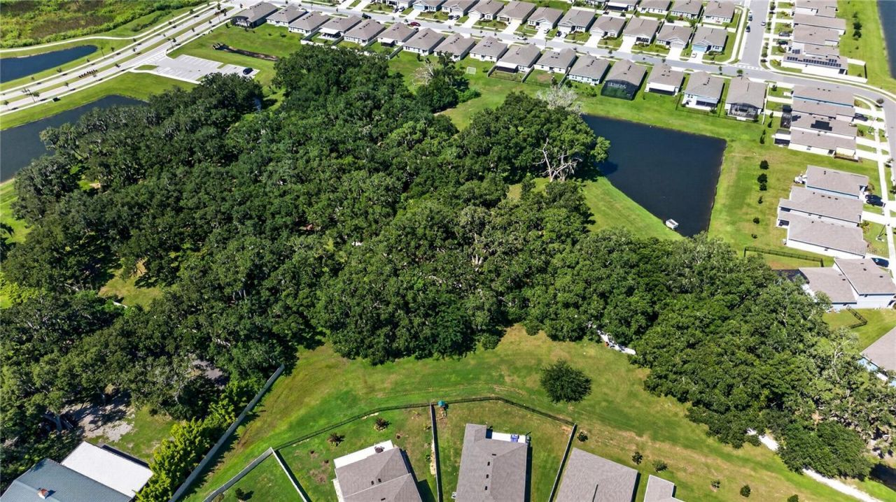 1924 Turtle Dove Lane , Kissimmee, FL 34746 Photo