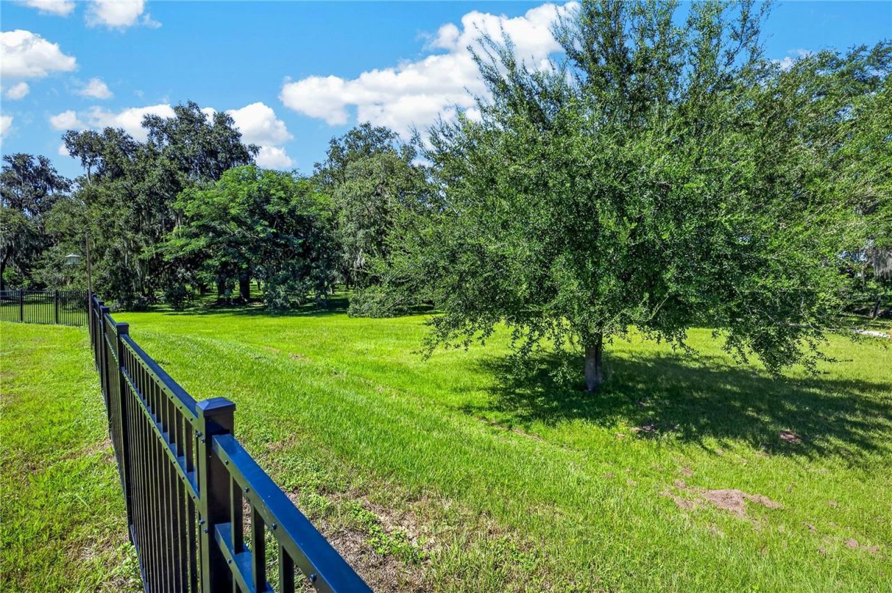 1924 Turtle Dove Lane , Kissimmee, FL 34746 Photo