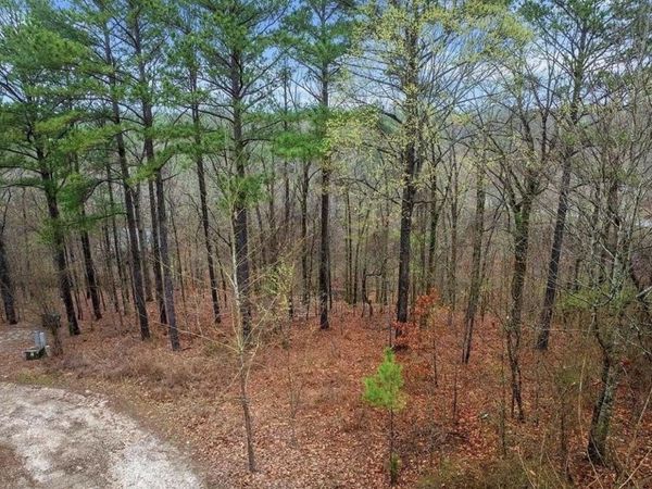235 Hochapine Trail , Broken Bow, OK 74728