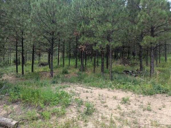 Lot 4 Plateau Rd, Lowman, ID 83637
