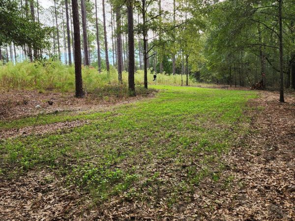 1745 Turkey Oak Trail , Bonifay, FL 32425