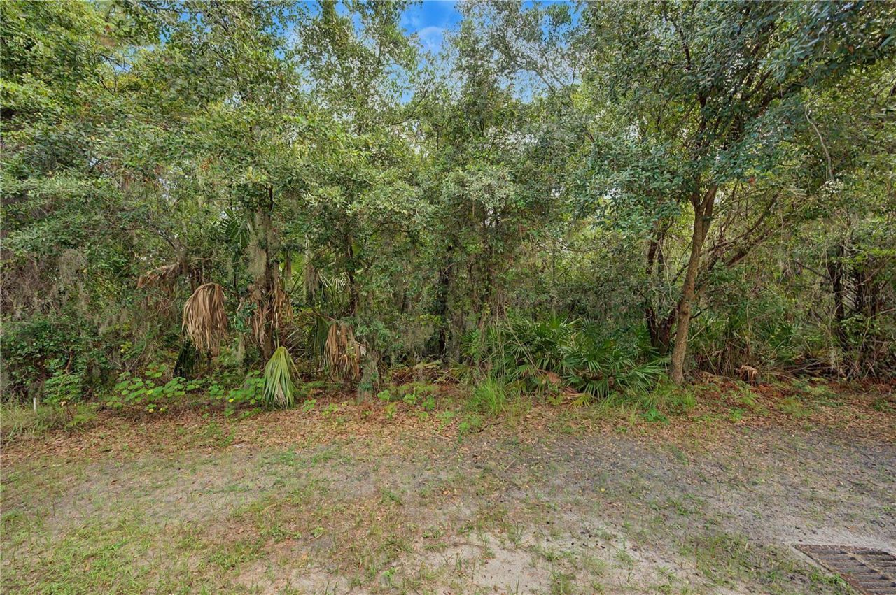 6914 Holly Heath Drive , Riverview, FL 33578 Photo
