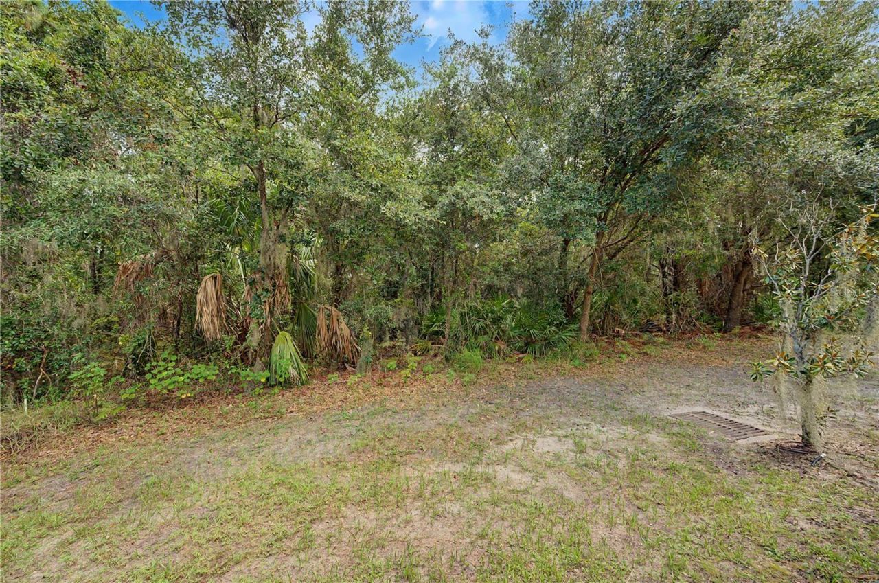 6914 Holly Heath Drive , Riverview, FL 33578 Photo
