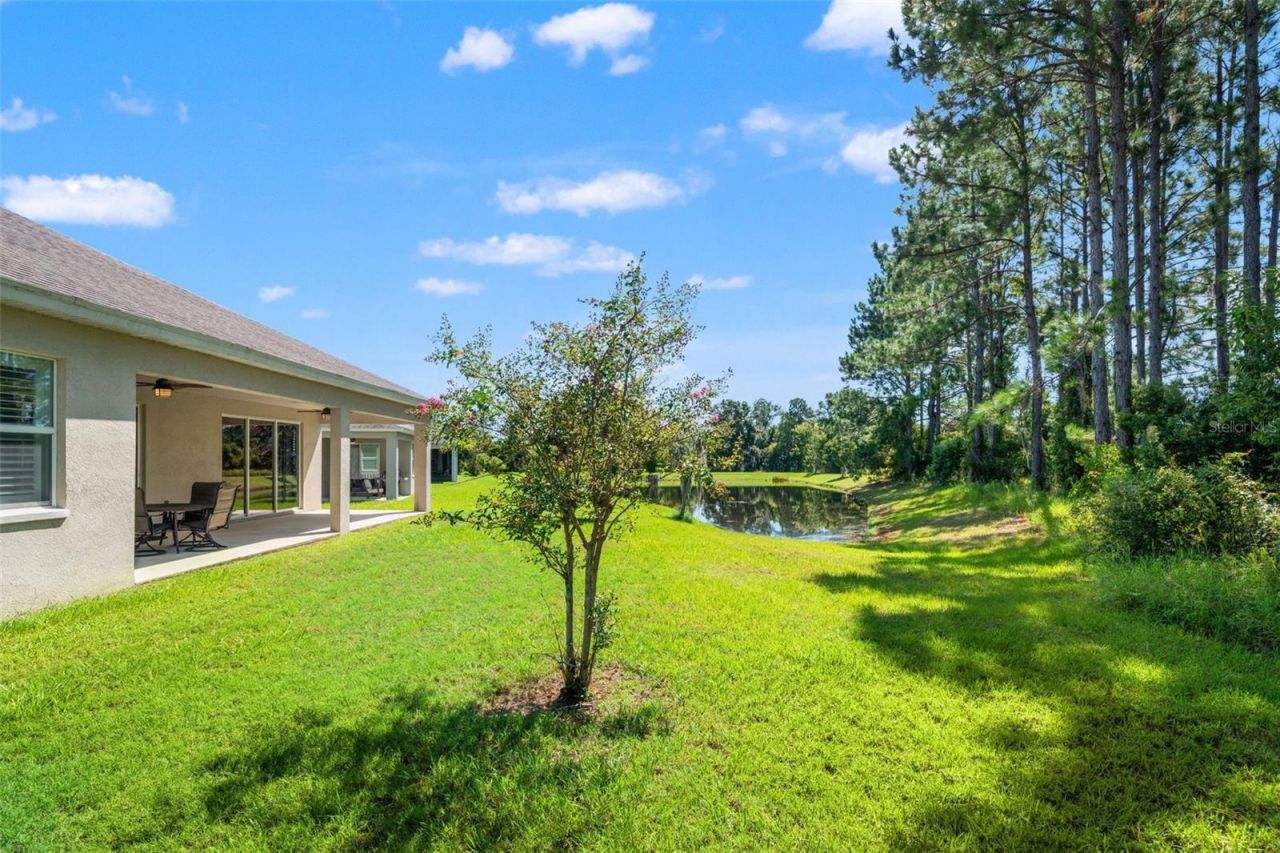 19620 Lonesome Pine Drive , Land O Lakes, FL 34638 Photo