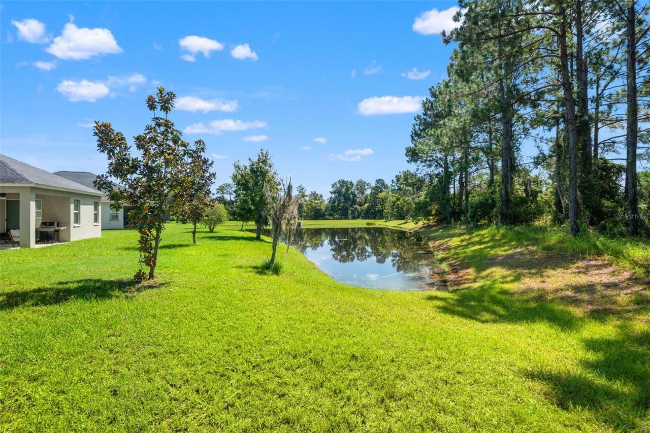 19620 Lonesome Pine Drive , Land O Lakes, FL 34638 Photo