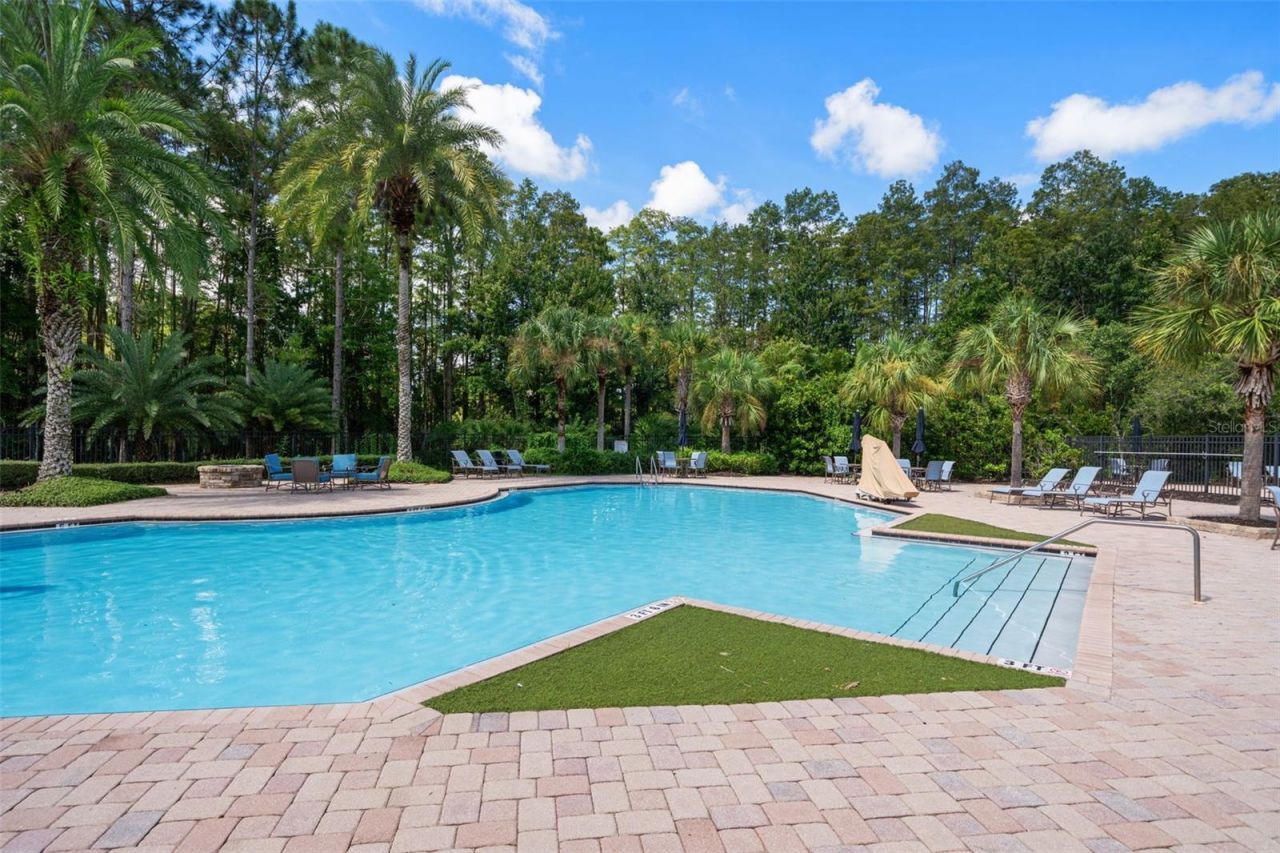 19620 Lonesome Pine Drive , Land O Lakes, FL 34638 Photo